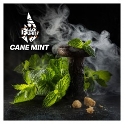 Табак BlackBurn - Cane Mint (Тростниковая Мята, 25 грамм)