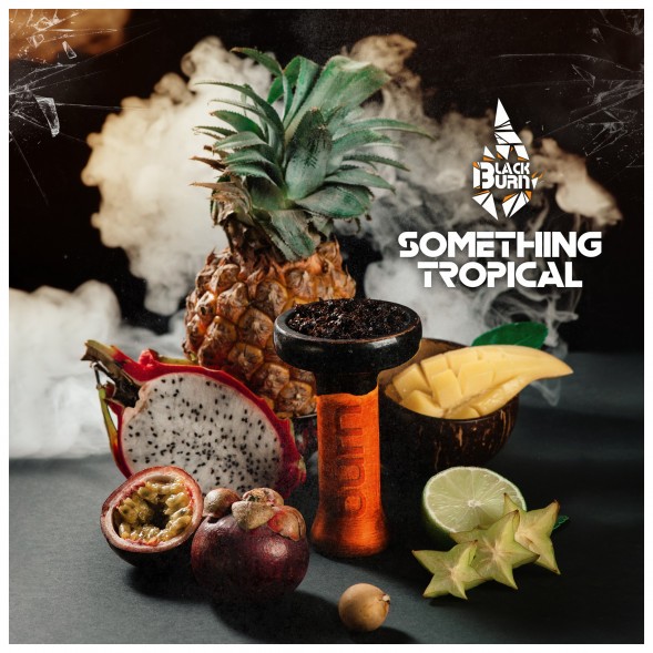 Табак BlackBurn - Something Tropical (Что-то Тропическое, 100 грамм) купить в Ростове-на-Дону