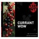 Табак Jent - Currant WOW (Кислая Смородина, 200 грамм) купить в Ростове-на-Дону