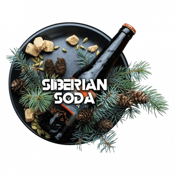 Табак BlackBurn - Siberian Soda (Лимонад Байкал, 200 грамм) купить в Ростове-на-Дону