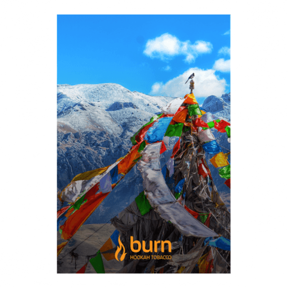 Табак Burn - Tibet (Индийские Специи, 100 грамм) купить в Ростове-на-Дону