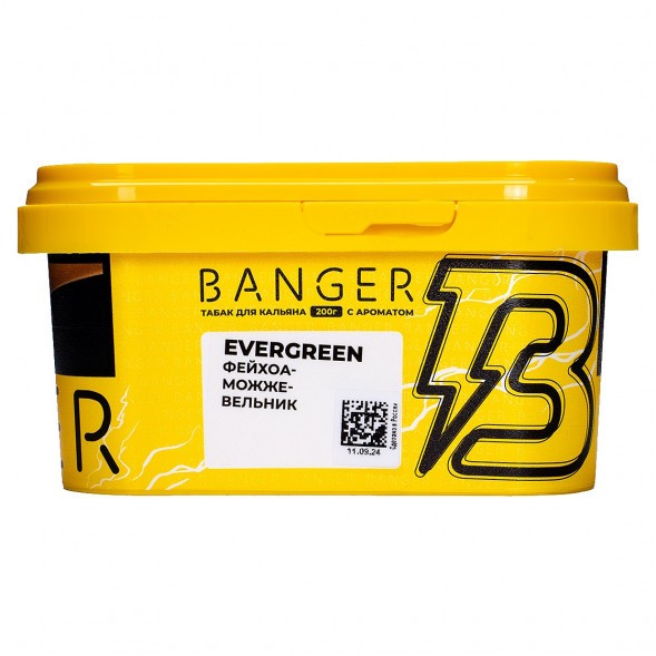 Табак Banger - Evergreen (Фейхоа Можжевельник, 200 грамм) купить в Ростове-на-Дону