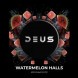 Табак Deus - Watermelon Halls (Арбузный Холс, 100 грамм) купить в Ростове-на-Дону