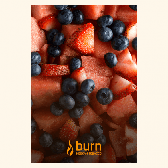 Табак Burn - Berried Treasure (Ягодный Микс, 25 грамм) купить в Ростове-на-Дону