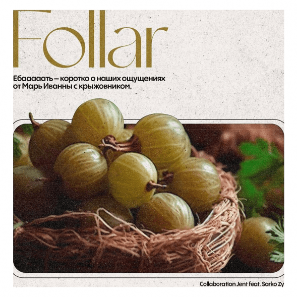 Табак Jent - Follar (Марь Иванна с Крыжовником, 200 грамм) купить в Ростове-на-Дону