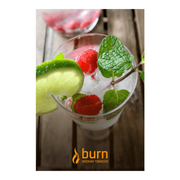 Табак Burn - Kamikaze (Лайм Малина Лед, 25 грамм) купить в Ростове-на-Дону