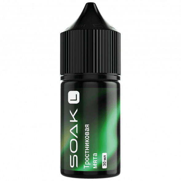 Жидкость SOAK L30 - Cane Mint (Тростниковая Мята, 30 мл, 2 мг) купить в Ростове-на-Дону