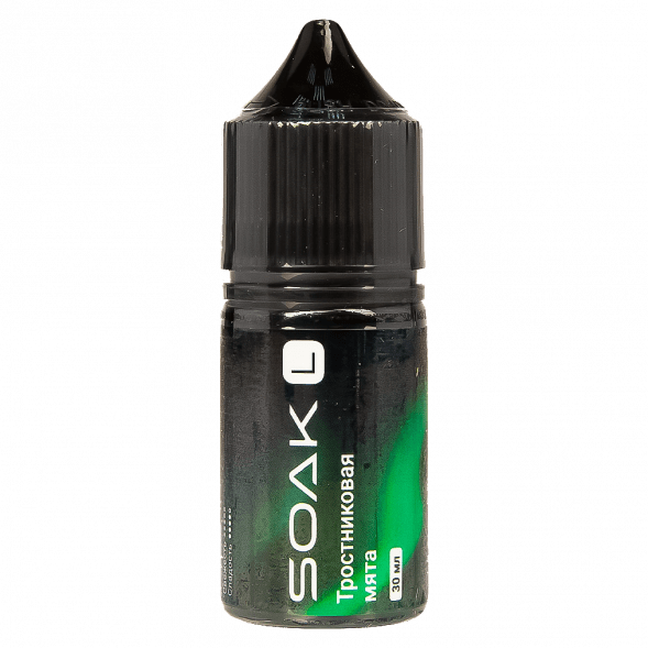 Жидкость SOAK L30 - Cane Mint (Тростниковая Мята, 30 мл, 2 мг) купить в Ростове-на-Дону