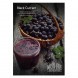 Табак Must Have - Black Currant (Черная Смородина, 25 грамм) купить в Ростове-на-Дону