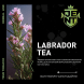 Табак Jent - Labrador Tea (Багульник и Саган Дайля, 200 грамм) купить в Ростове-на-Дону