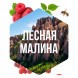 Табак Сарма - Лесная Малина (25 грамм) купить в Ростове-на-Дону