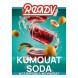 Табак Ready - №3 Kumquat Soda (Газировка, Кумкват, 25 грамм) купить в Ростове-на-Дону