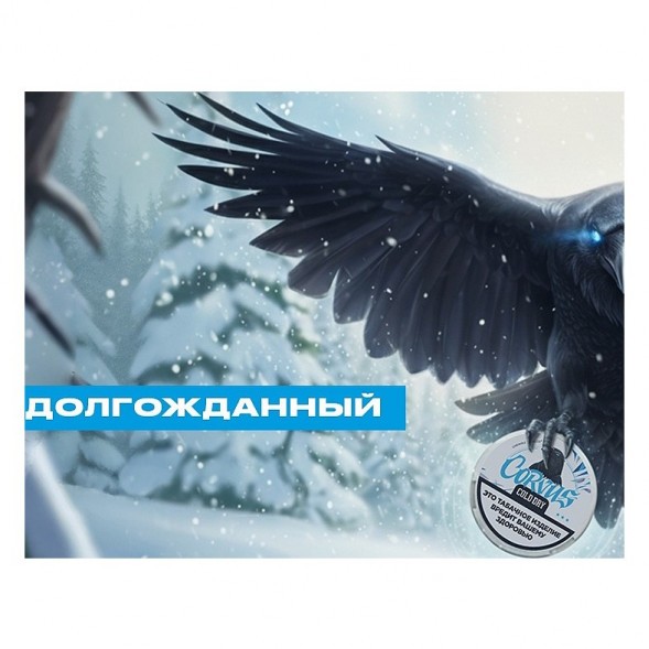Табак жевательный CORVUS - Cold Dry MEDIUM (13 грамм) купить в Ростове-на-Дону