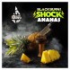 Табак BlackBurn - Ananas Shock (Кислый Ананас, 25 грамм) купить в Ростове-на-Дону