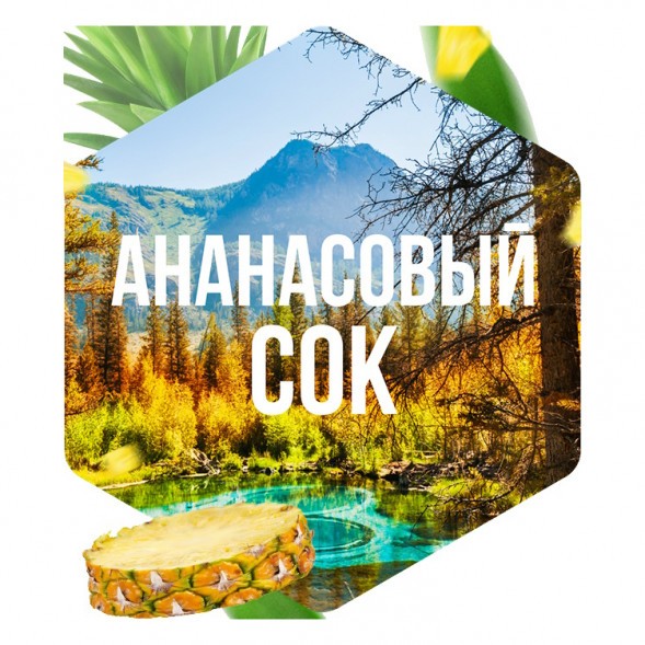 Табак Сарма - Ананасовый Сок (40 грамм) купить в Ростове-на-Дону